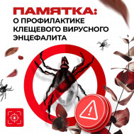 Весна — это время для прогулок на свежем воздухе, но не забывайте об осторожности!